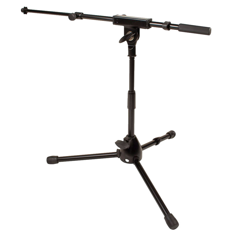 Economy Instrument Microphone Stand